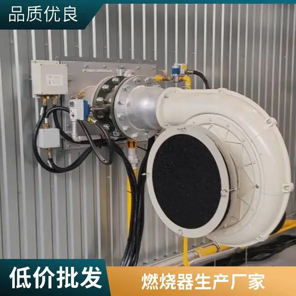 天然气燃烧机 中央空调直烧机低氮改造燃烧器 岱鼎燃烧厂家供应