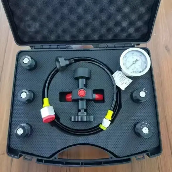 充氮工具 蓄能器压铸机气弹簧CDZ型移动式充氮小车充氮工具国标进口
