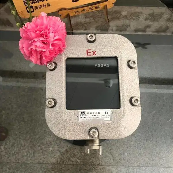 BGXS-D���������Ͷ����� ���ƿ������� ���ֹ���