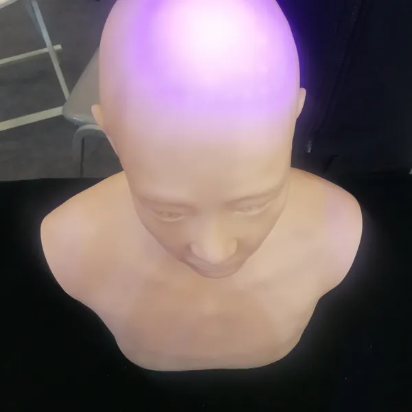 ��ҽ���ͷ��ѵ��ģ�� ͷ��Ѩλ���ѵ��ģ�� ͷ��Ѩλ������ѵ�̾�
