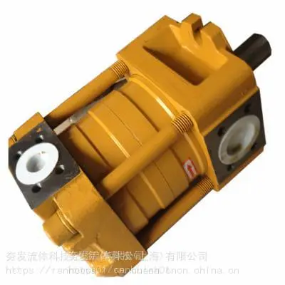 NT3-D20F诚捷高压液压油泵 内啮合齿轮泵性能云云
