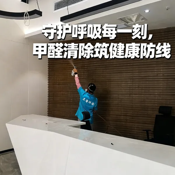 重庆除甲醛公司推荐 甲醛治理哪家好 全屋定制 儿童房幼儿园专用
