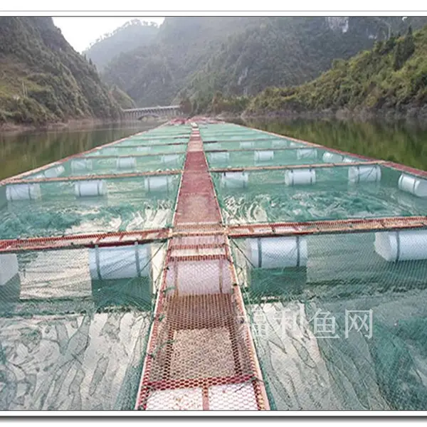 5米X5米养鱼网箱,养鱼聚乙烯网箱批发,养殖设备加工网箱定制
