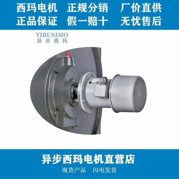 ������Z2-62/22KW/3000ת/B����Ե����ֱ���綯���ֻ���Ӧ