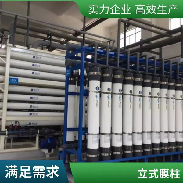 海森滤膜 德国工艺过滤0.03um PVDF中空纤维柱式超滤膜组件
