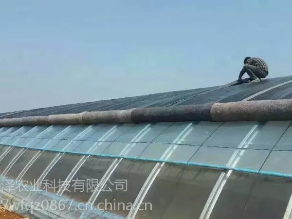 供应日光温室 冬暖式蔬菜大棚一亩地需要投资多少钱 日光温室造价