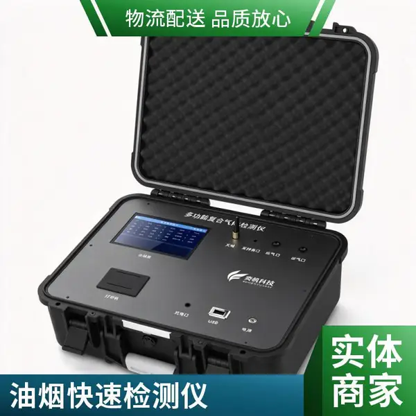 便携式油烟在线检测仪 油烟快速监测仪 酒店厨房油烟净化设备验收