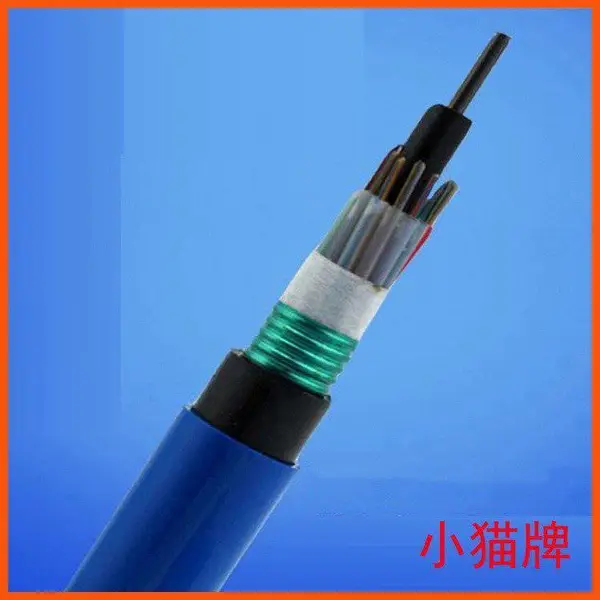 室外光缆中芯束管式GYXTW-4B 架空光缆线GYFTZY-8B