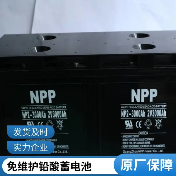 NPP��������NPG12-6***h 12V6***HӦ������ϵͳ ֱ���� UPS/EPS��Դ