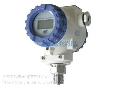 昆仑海岸JYB-KO-P系列防护型压力液位变送器