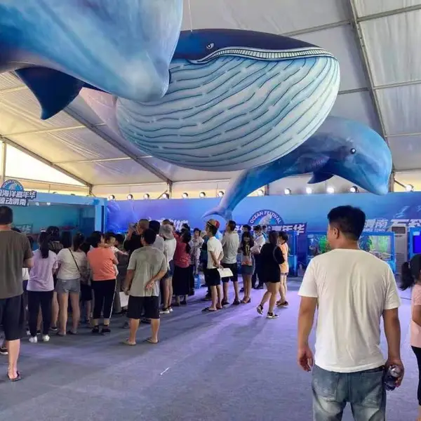 海洋展览出租强水魔方给您提供方案全的海洋鱼类租赁
