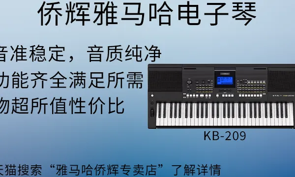 虹口区雅马哈私人电子琴套装 上海侨辉经贸供应