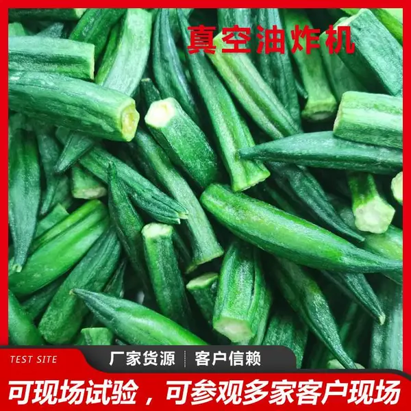 莲藕脆秋葵脆加工设备 低温真空油炸机 联兴机械