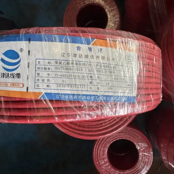 津达线缆 ZC-BV-450V/750V 10 聚氯乙烯绝缘阻燃C类无护套电线电缆