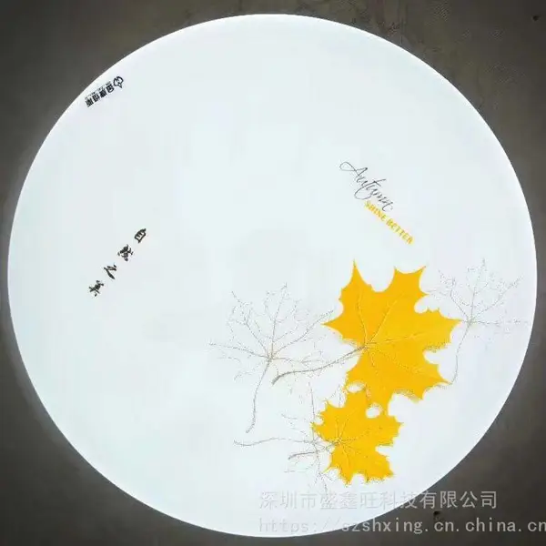 外贸灯具客户可来样定制,全国供应LED吸顶灯