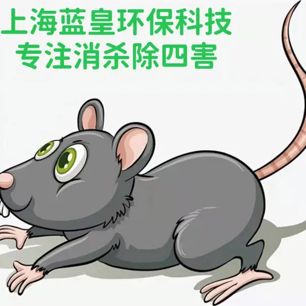 上海灭白蚁公司上门除白蚁杀蟑螂除虫灭鼠