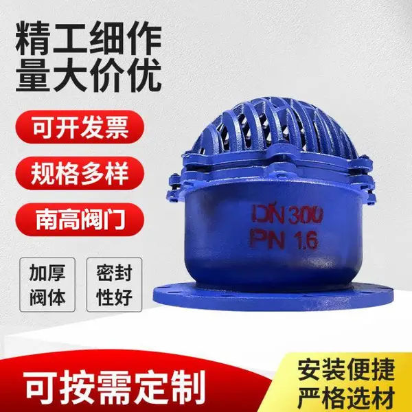 H42X-10C 底阀 铸铁 底阀 法兰阀门维修简单使用方便截止