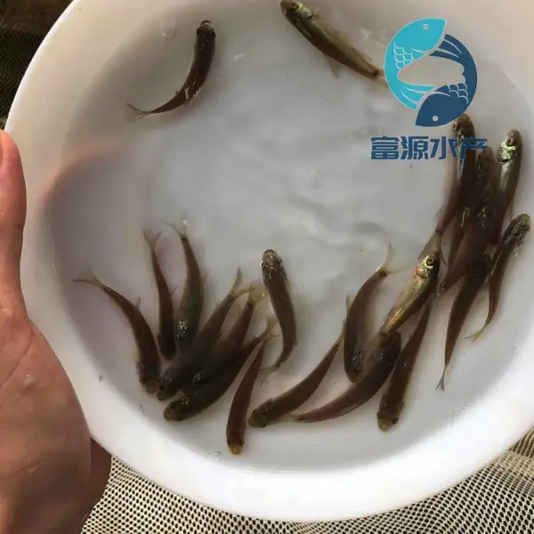 ����������ֳ��������������������������
