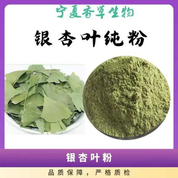 银杏叶粉 破壁原粉 生粉 淡绿色 超微粉碎 灭菌 银杏叶纯粉 浓缩 速溶粉