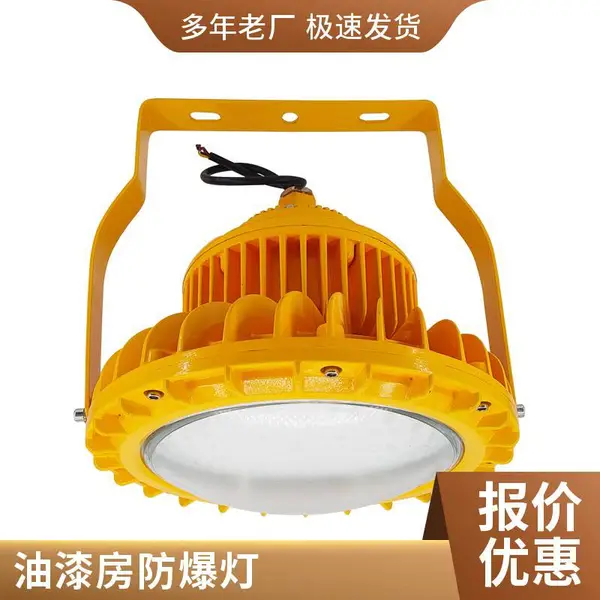 防爆照明灯 LED防爆投光灯 防爆平台灯 工程专用
