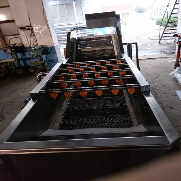 瑞宝304不锈钢气泡清洗机 净菜加工设备 蔬果气泡清洗机