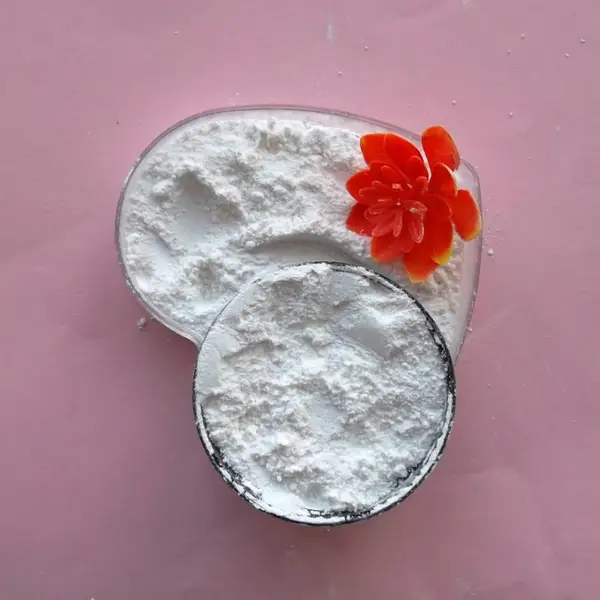 Ϳ�������� | ���Ϲ����� | ���������