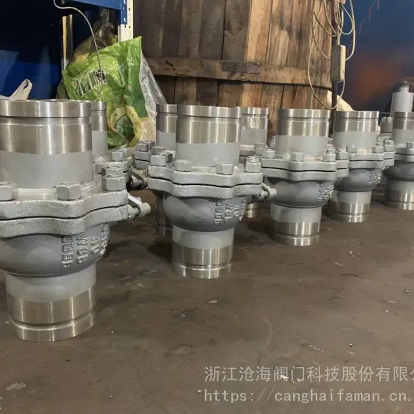 CHVJ 沧海阀门 沟槽闸阀Q80CG-400-89 高压球阀 进液