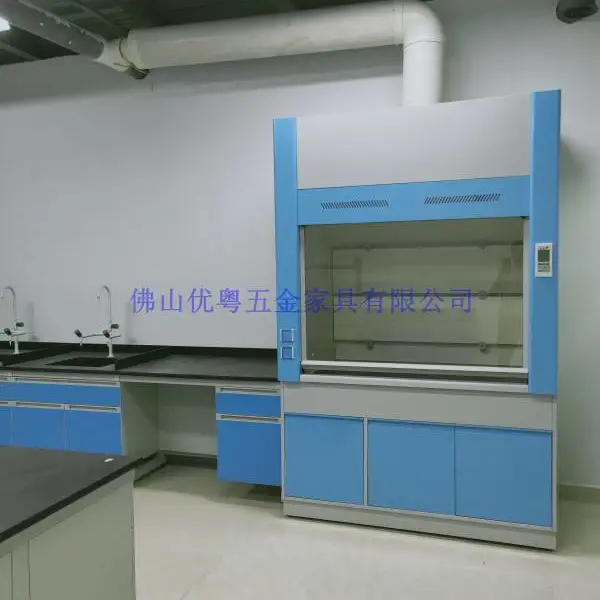 佛山全钢通风柜药品柜储物柜钢木实验台检测桌实验台工厂定制
