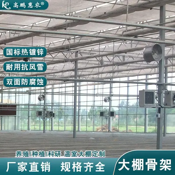 沧州丰水梨钢筋花梁温室钢管夏日降温效果好