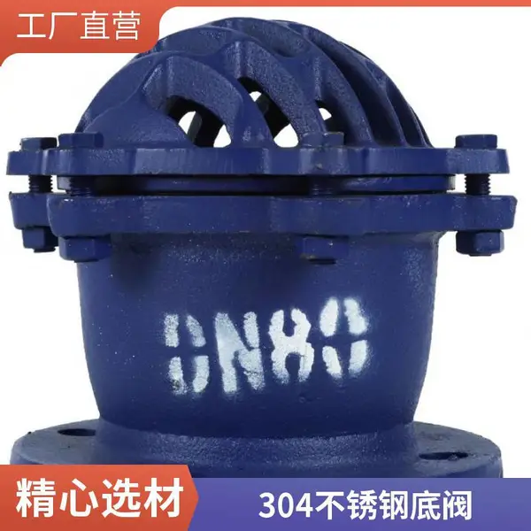 水泵底阀 带滤网 DN65 法兰 球铁材质 建筑工地排水泵配套