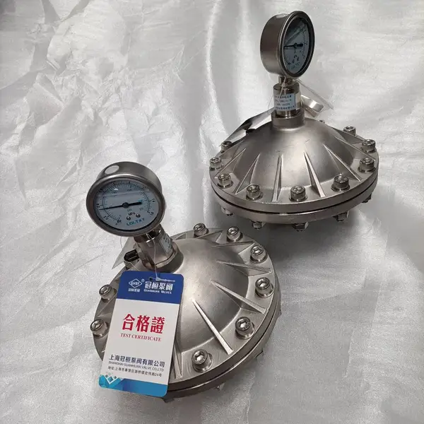 脉动阻尼器GHMZ-16P 计量泵必须配备的附件脉动缓冲器规格用途