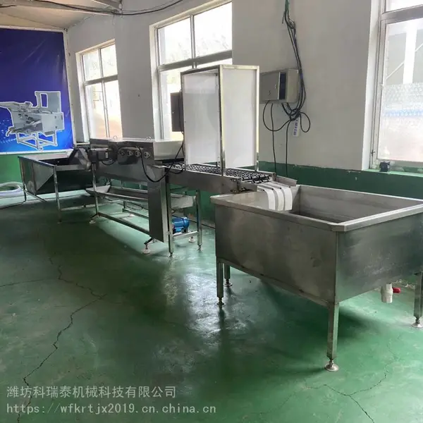 三排多功能蛋品清洗流水线 中小型洗蛋机制造商家 快速洁蛋设备
