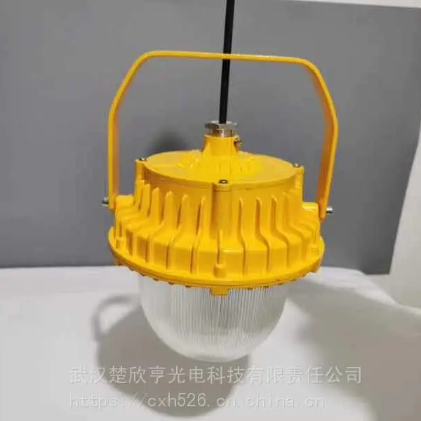 防爆配照型LED工矿灯 YJBZD-100WExdⅡBT4 防爆灯YJBZD-150W
