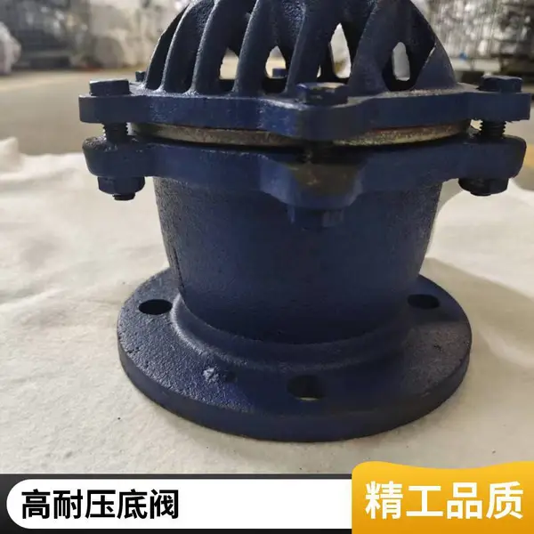 上海蝶通 水泵底阀 DN100铸钢底阀 旋启式带滤网 用于消防泵吸水口