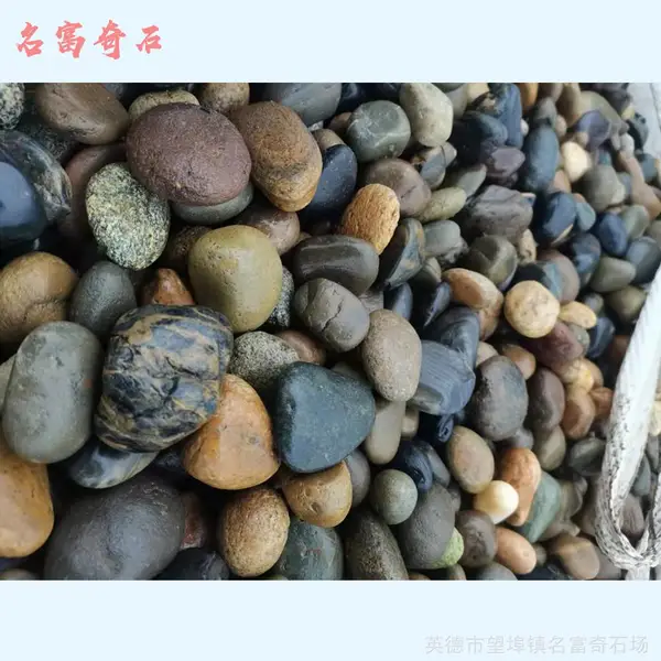 �麣����ʯ��԰����ɫ����ʯͼƬ���̵�Сʯͷ��ԭ����