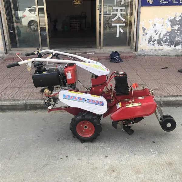 �����ַ������� С���ڹ��� ������¢����������
