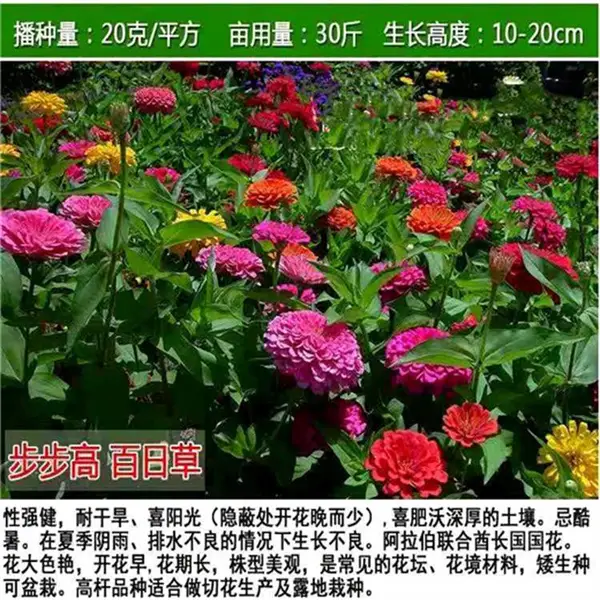 ���������ֿ��ֹ����ͽ��ֿ������������