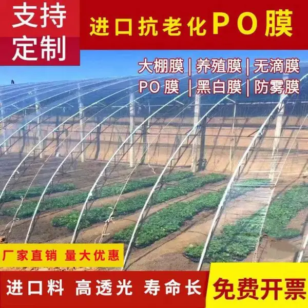 大棚膜 塑料薄膜加厚温室防水塑料布支持安装定制瓜果蔬菜园林用