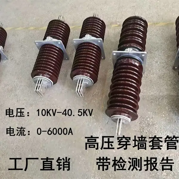 ��ѹ��ǽ�׹�10KV-20KV-24KV-35KV�������մ�ͭ�Ŵ�ǽ��ƿCWC-CWB