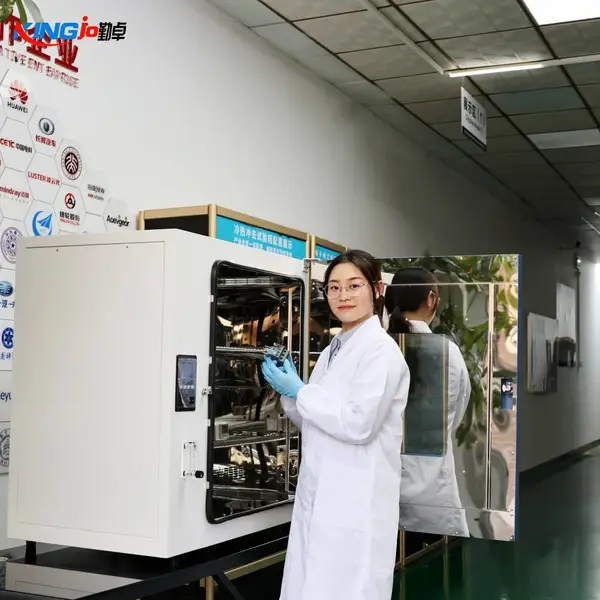负压烘干试验箱,物料低温除水检测 Negative?pressure Drying Oven