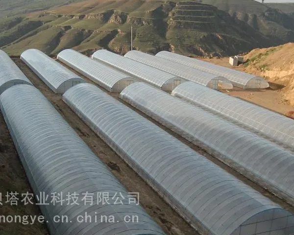 常见的温室种类有哪些 一亩地大棚造价 温室大棚建设 贝塔农业