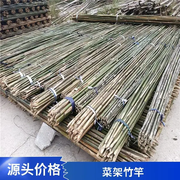 蔬菜爬藤竹竿 4米 加厚竹竿 豆角架杆 爬藤架 批发