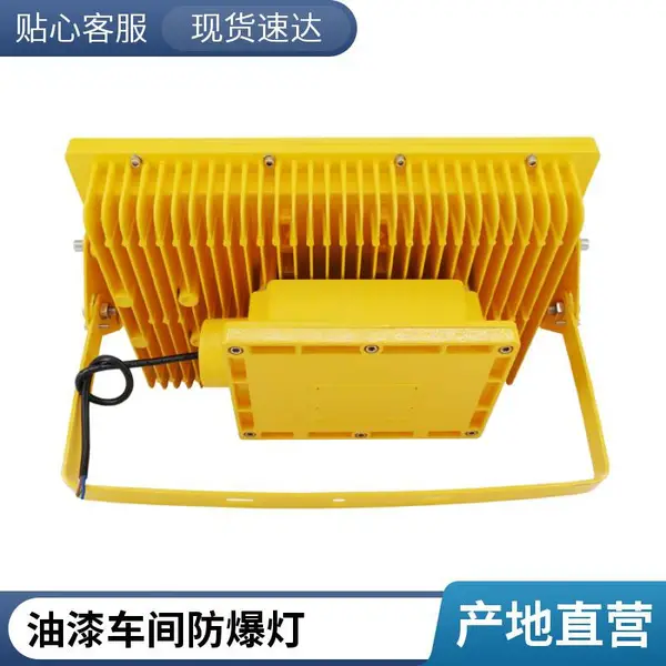 LED防爆照明灯100W工厂车间加油站专用防爆投光灯厂家直供