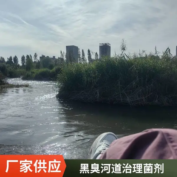 微生物菌方 好氧反硝化脱氮菌块 粉状菌剂 压块菌砖 供应