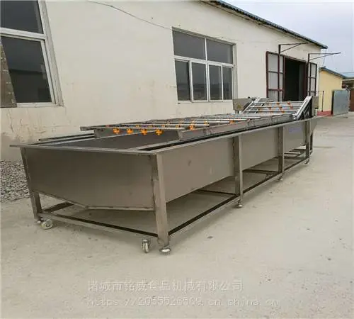 蔬菜清洗机 新鲜蔬菜清洗机价格