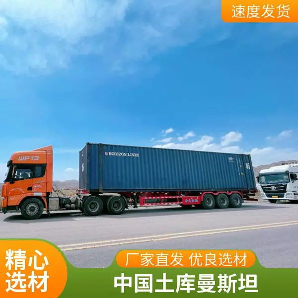 国际快递土库曼斯坦专线维生素c片,敏感货普货海运空派