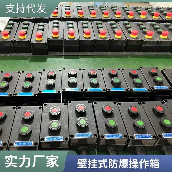 壁挂防爆操作柱 小型防爆按钮盒 泵房设备侧壁就地控制箱 IP65
