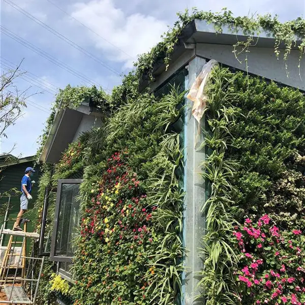 植物墙哪家好 植物墙 品质保障