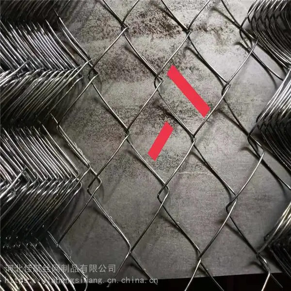 团粒喷播网 团粒喷播网厂家 高次团粒喷播绿化工程3.7
