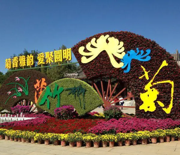 城市广场草花批发地_广场花卉景观_开花草花造型施工
